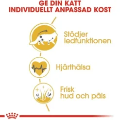 Royal Canin Maine Coon Adult Torrfoder för Katt 2 kg