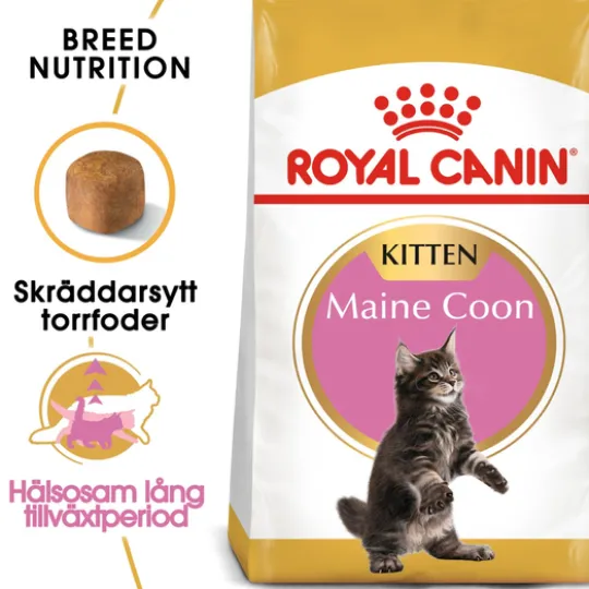 Royal Canin Maine Coon Kitten Torrfoder för Kattunge 4 kg