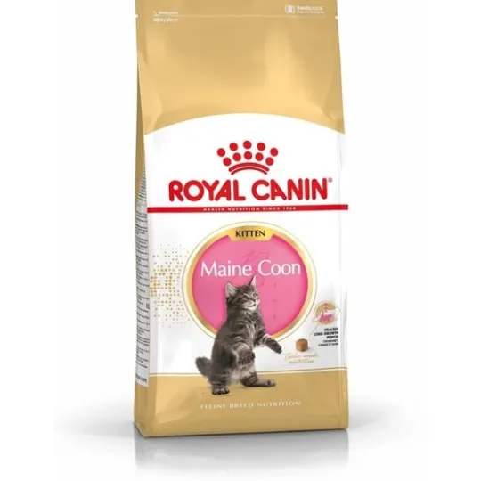 Royal Canin Maine Coon Kitten Torrfoder för Kattunge 4 kg