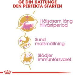 Royal Canin Maine Coon Kitten Torrfoder för Kattunge 4 kg