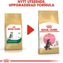 Royal Canin Maine Coon Kitten Torrfoder för Kattunge 4 kg