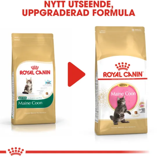 Royal Canin Maine Coon Kitten Torrfoder för Kattunge 4 kg