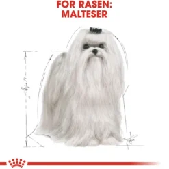 Royal Canin Maltese Adult Torrfoder för Hund 1,5 kg