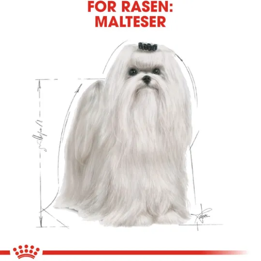 Royal Canin Maltese Adult Torrfoder för Hund 1,5 kg