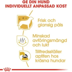 Royal Canin Maltese Adult Torrfoder för Hund 1,5 kg