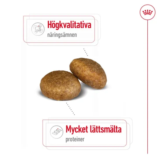 Royal Canin Maxi Adult Torrfoder för Hund 15 kg