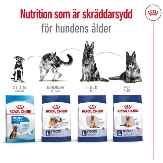 Royal Canin Maxi Adult Torrfoder för Hund 15 kg