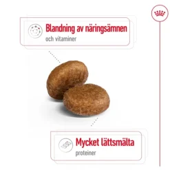 Royal Canin Maxi Adult 5+ Torrfoder för Hund 15 kg