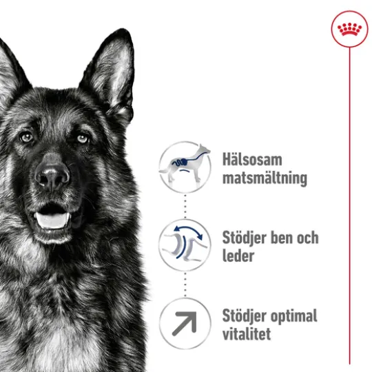 Royal Canin Maxi Adult 5+ Torrfoder för Hund 15 kg