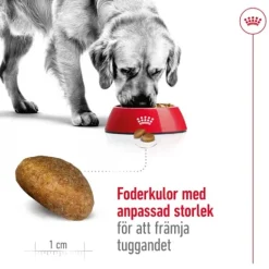 Royal Canin Maxi Adult Torrfoder för Hund 15 kg