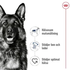Royal Canin Maxi Adult Torrfoder för Hund 15 kg