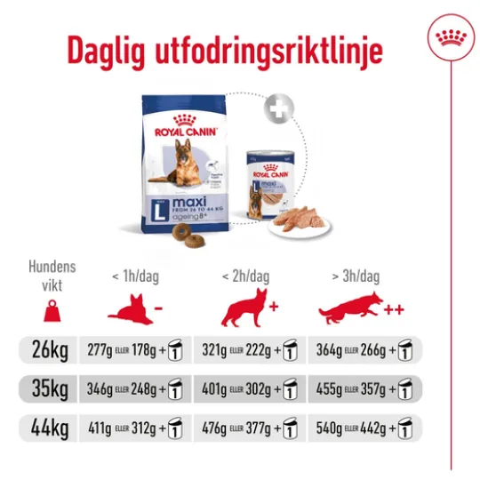 Royal Canin Maxi Ageing 8+ Torrfoder för Hund 15 kg