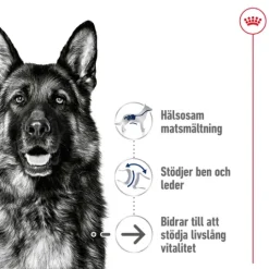 Royal Canin Maxi Ageing 8+ Torrfoder för Hund 15 kg