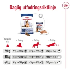 Royal Canin Maxi Ageing 8+ Torrfoder för Hund 15 kg