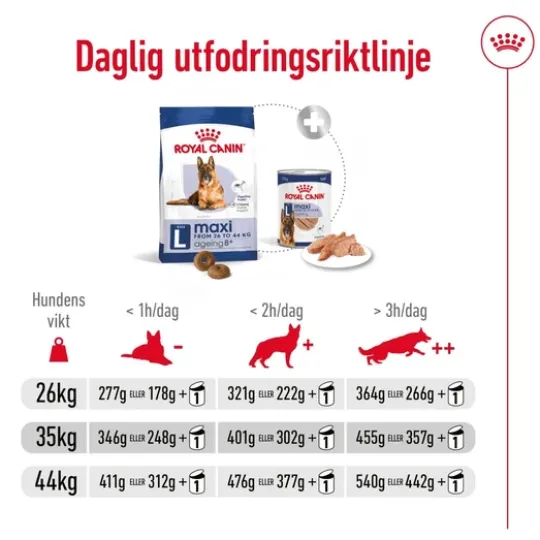 Royal Canin Maxi Ageing 8+ Torrfoder för Hund 15 kg