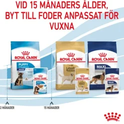 Royal Canin Maxi Puppy Gravy Våtfoder för Hundvalp 1,4 kg