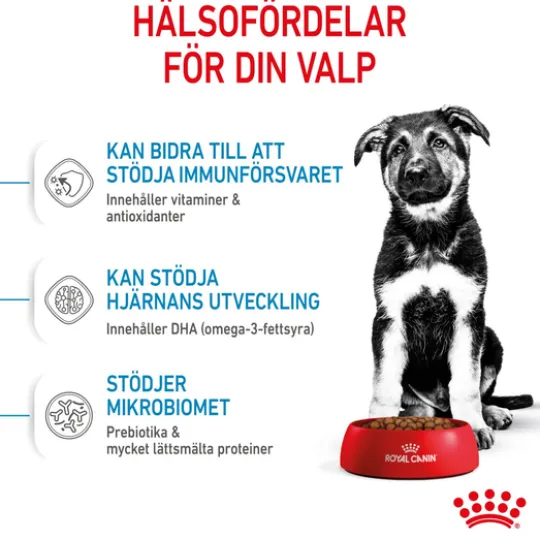 Royal Canin Maxi Puppy Torrfoder för Hundvalp 4 kg