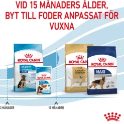 Royal Canin Maxi Puppy Torrfoder för Hundvalp 4 kg