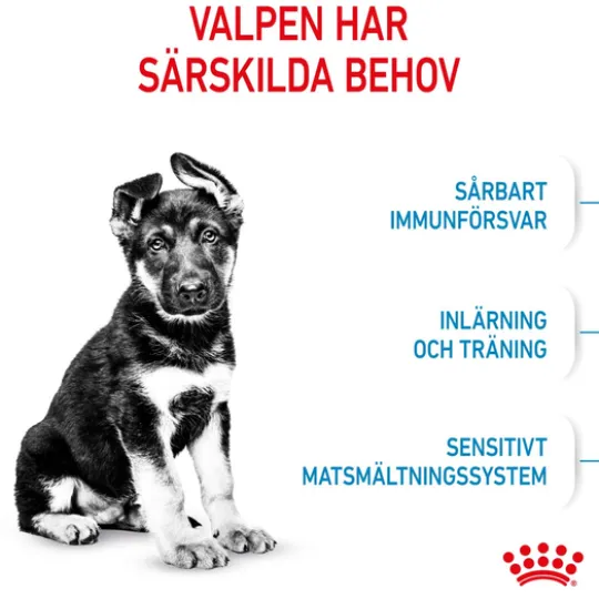 Royal Canin Maxi Puppy Torrfoder för Hundvalp 15 kg