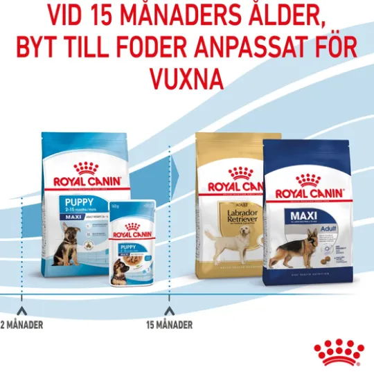 Royal Canin Maxi Puppy Torrfoder för Hundvalp 15 kg