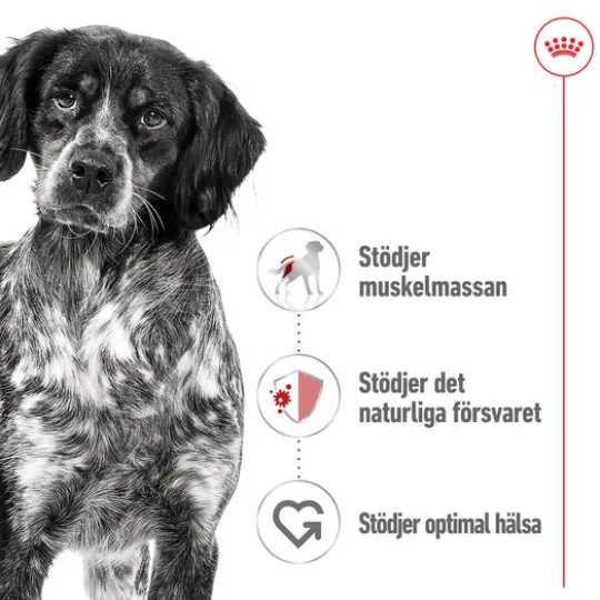 Royal Canin Medium Adult Gravy Våtfoder för Hund 1,4 kg