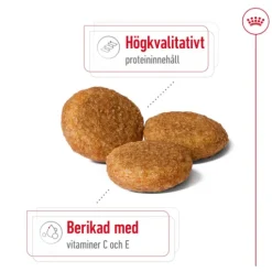Royal Canin Medium Adult Torrfoder för Hund 10 kg