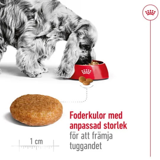Royal Canin Medium Adult Torrfoder för Hund 4 kg