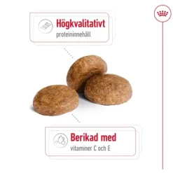 Royal Canin Medium Adult 7+ Torrfoder för Hund 15 kg