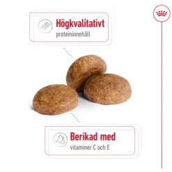 Royal Canin Medium Adult 7+ Torrfoder för Hund 15 kg