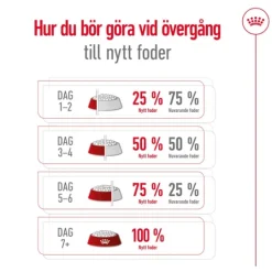 Royal Canin Medium Ageing 10+ Torrfoder för Hund 15 kg