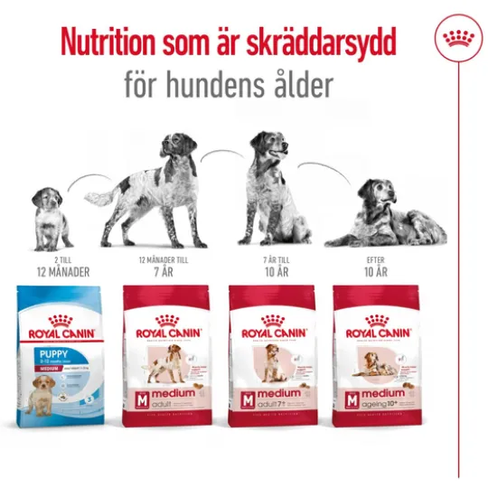 Royal Canin Medium Ageing 10+ Torrfoder för Hund 15 kg