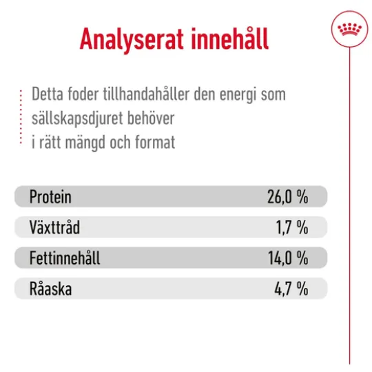 Royal Canin Medium Ageing 10+ Torrfoder för Hund 15 kg