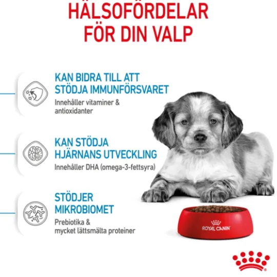 Royal Canin Medium Puppy Torrfoder för Hundvalp 10 kg