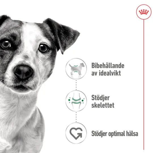 Royal Canin Mini Adult Gravy Våtfoder för Hund 1,02 kg