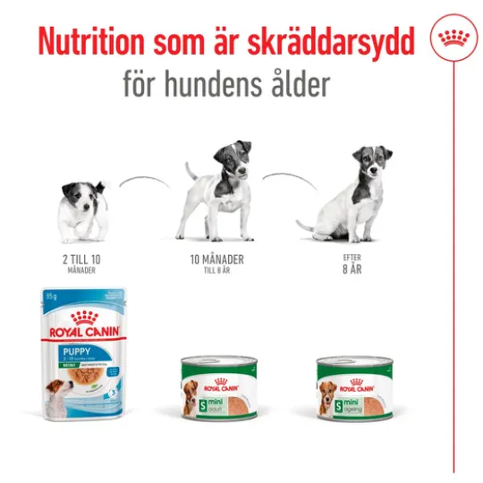 Royal Canin Mini Adult Loaf Våtfoder för Hund 2,34 kg
