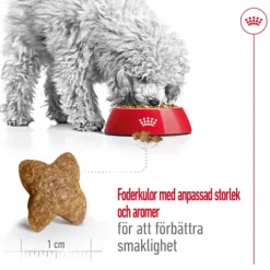 Royal Canin Mini Adult Torrfoder för Hund 8 kg