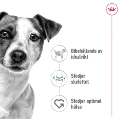 Royal Canin Mini Adult Torrfoder för Hund 8 kg
