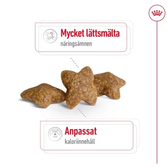 Royal Canin Mini Adult Torrfoder för Hund 2 kg