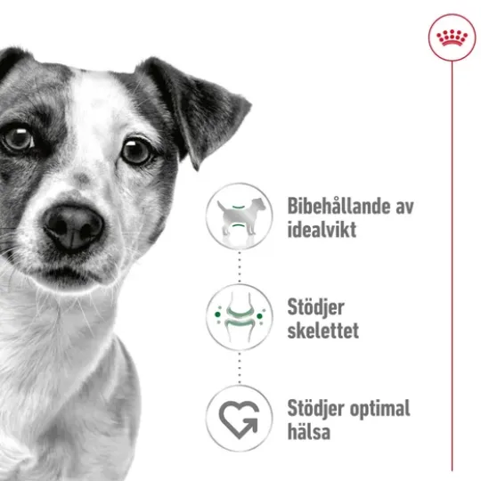 Royal Canin Mini Adult Torrfoder för Hund 2 kg