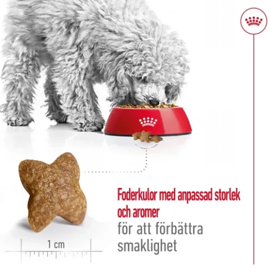 Royal Canin Mini Adult Torrfoder för Hund 2 kg