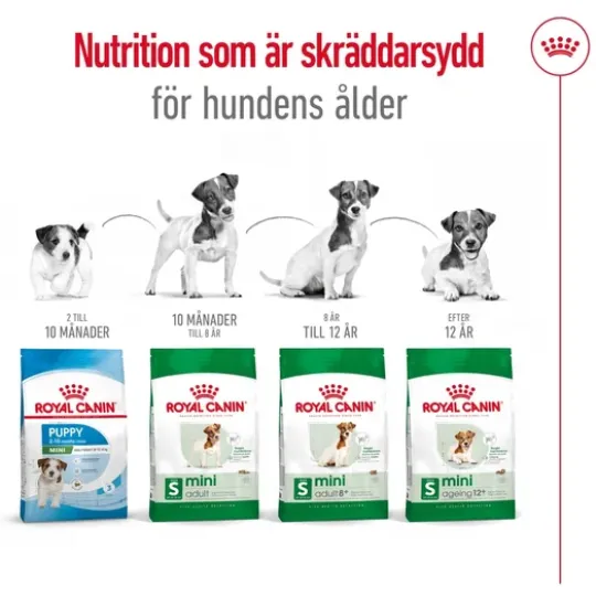 Royal Canin Mini Adult Torrfoder för Hund 2 kg
