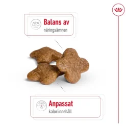Royal Canin Mini Adult 8+ Torrfoder för Hund 8 kg