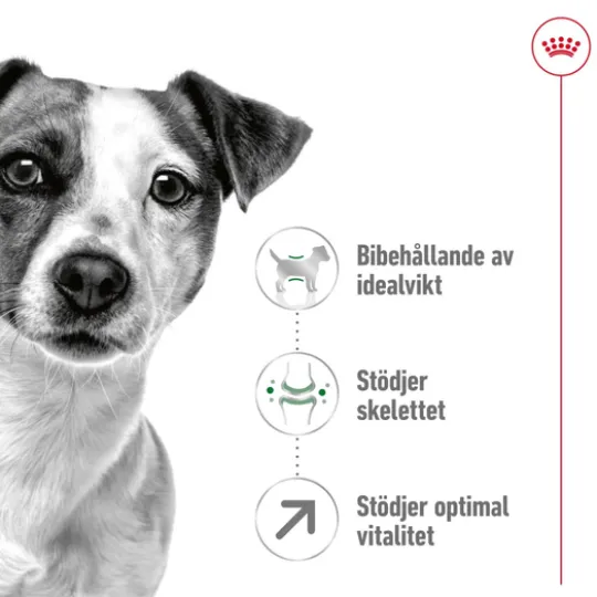 Royal Canin Mini Adult 8+ Torrfoder för Hund 8 kg