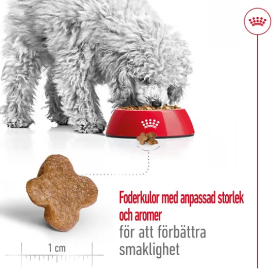 Royal Canin Mini Adult 8+ Torrfoder för Hund 8 kg