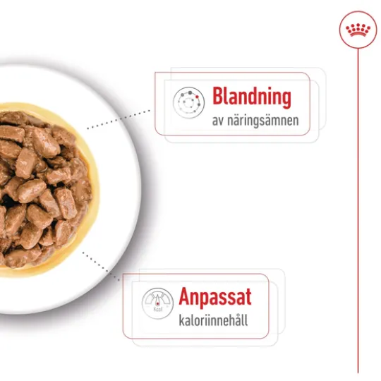 Royal Canin Mini Ageing Gravy Våtfoder för Hund 1,02 kg