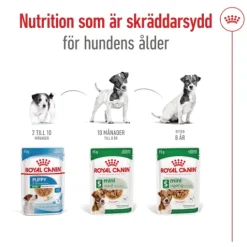 Royal Canin Mini Ageing Gravy Våtfoder för Hund 1,02 kg