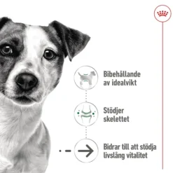 Royal Canin Mini Ageing Gravy Våtfoder för Hund 1,02 kg
