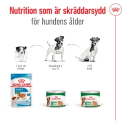 Royal Canin Mini Ageing Loaf Våtfoder för Hund 2,34 kg
