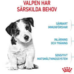 Royal Canin Mini Puppy Torrfoder för Hundvalp 4 kg