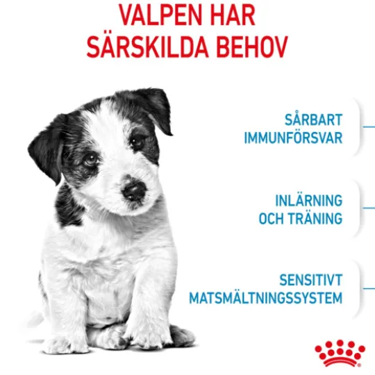 Royal Canin Mini Puppy Torrfoder för Hundvalp 4 kg